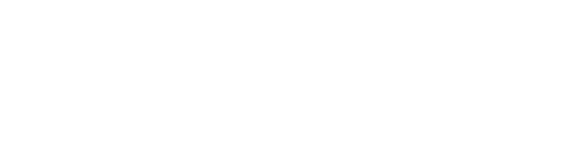 VideoNest